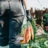 top 10 vegetarische kookboeken