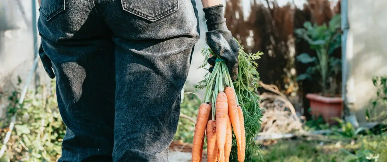 top 10 vegetarische kookboeken